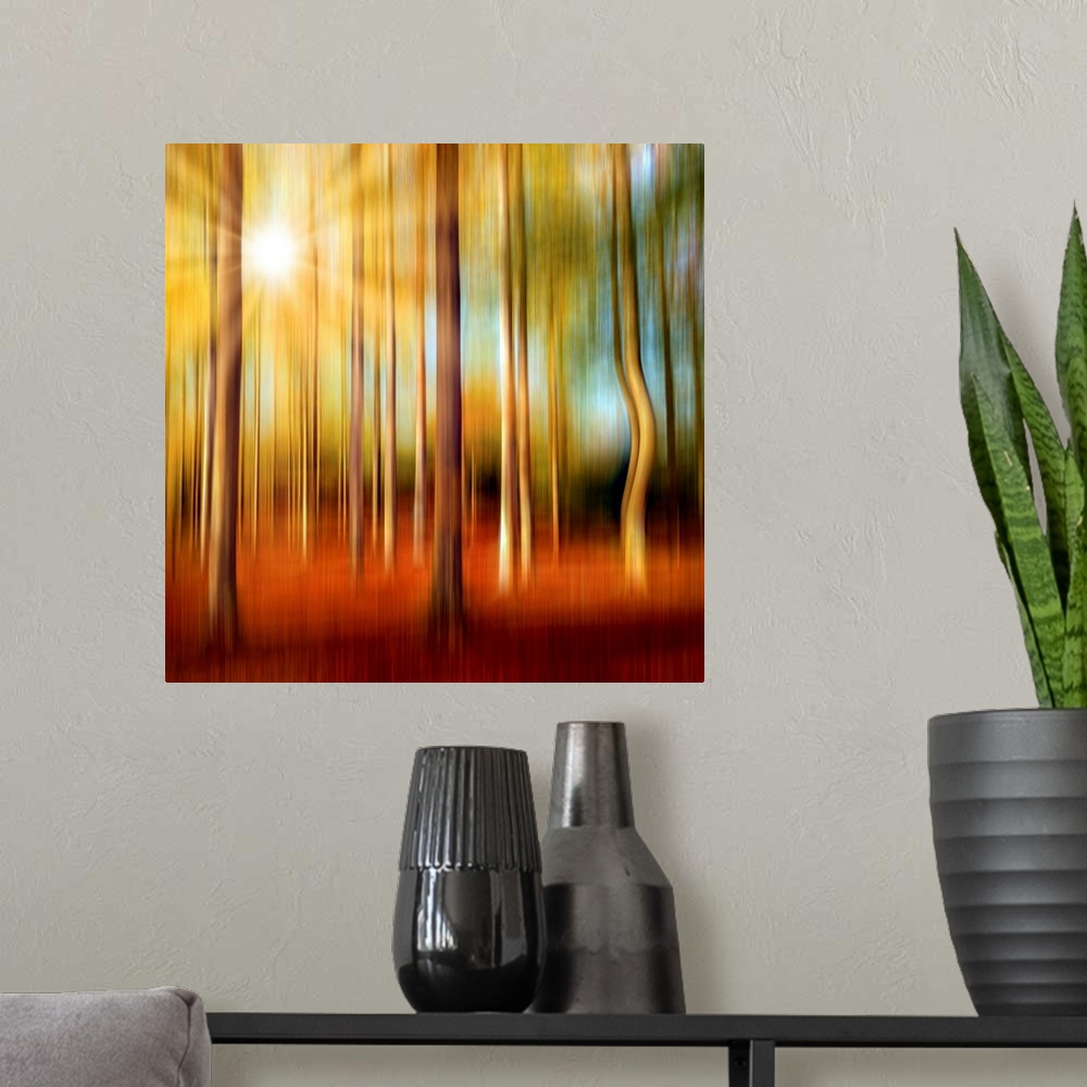 A modern room featuring Forest in autumn with a vertical blur effect