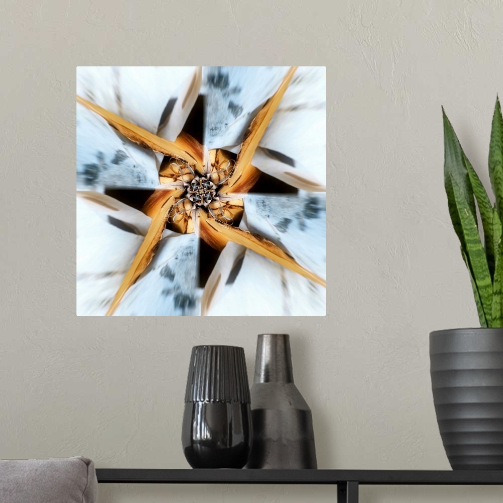 A modern room featuring Square abstract art of a photograph of organic objects edited in a circular motion to create move...