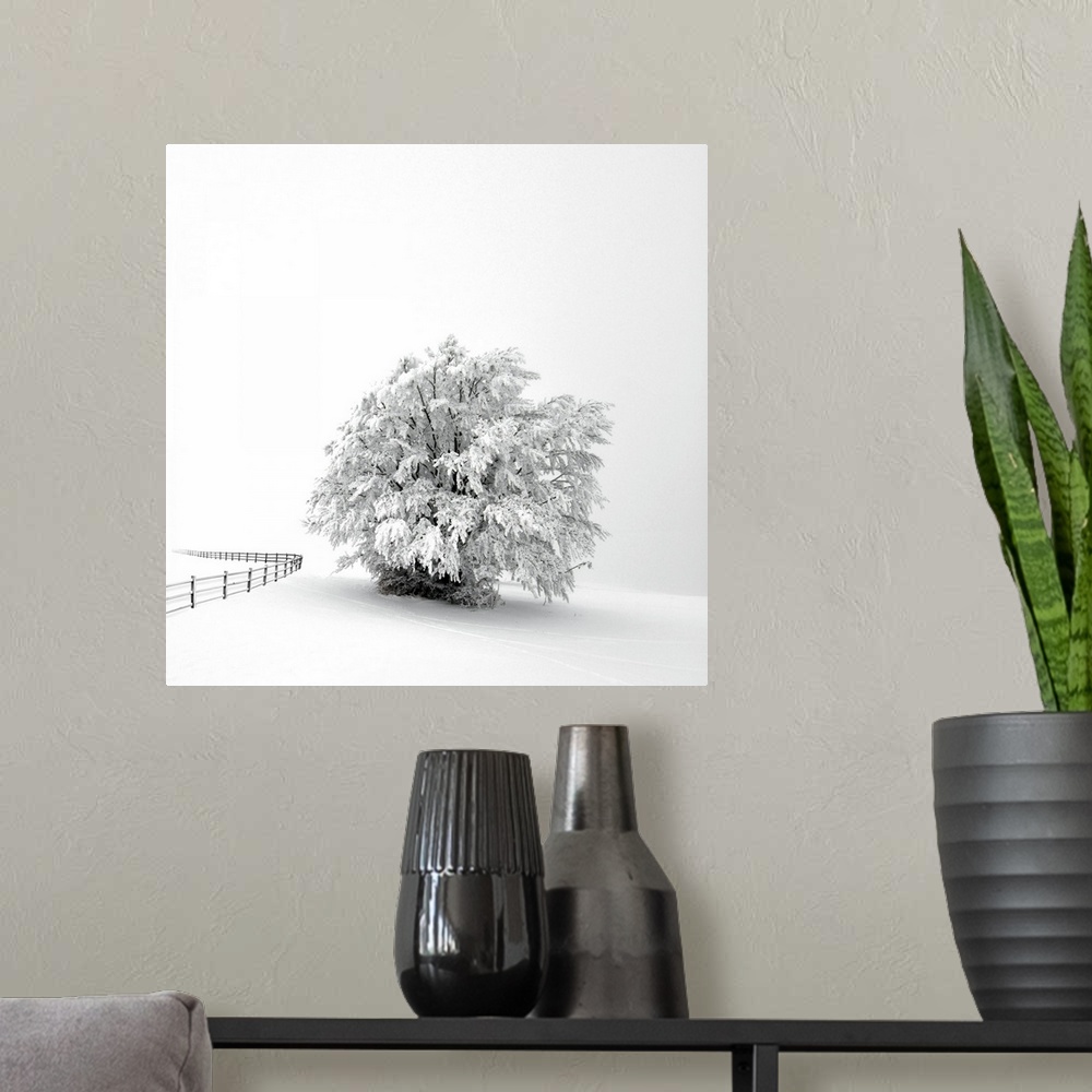 A modern room featuring A white tree in winter