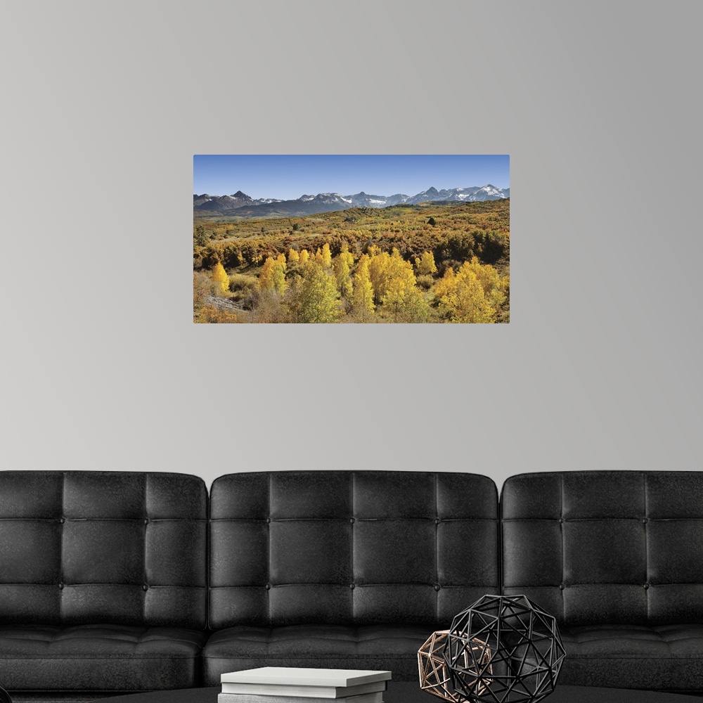 A modern room featuring Aspen trees in a forest with a mountain range in the background, Sneffels Range, Dallas Divide, C...