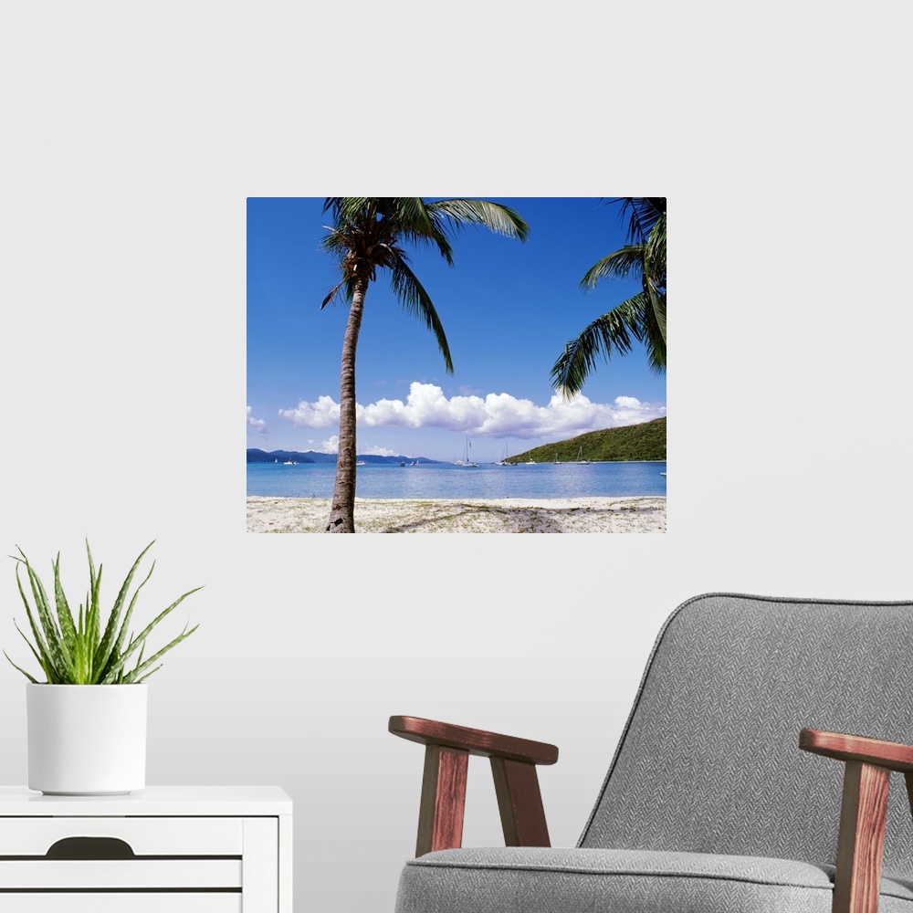 A modern room featuring In this photograph palm trees on a beach in the foreground look out over sailboats at sea and clo...