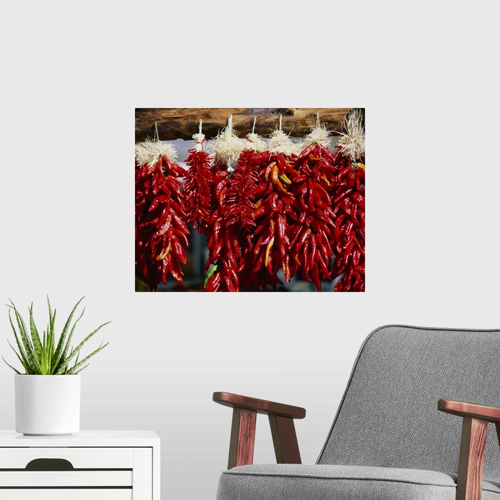 A modern room featuring Close-up of bunches of chilli peppers hanging on a stall, Taos, New Mexico