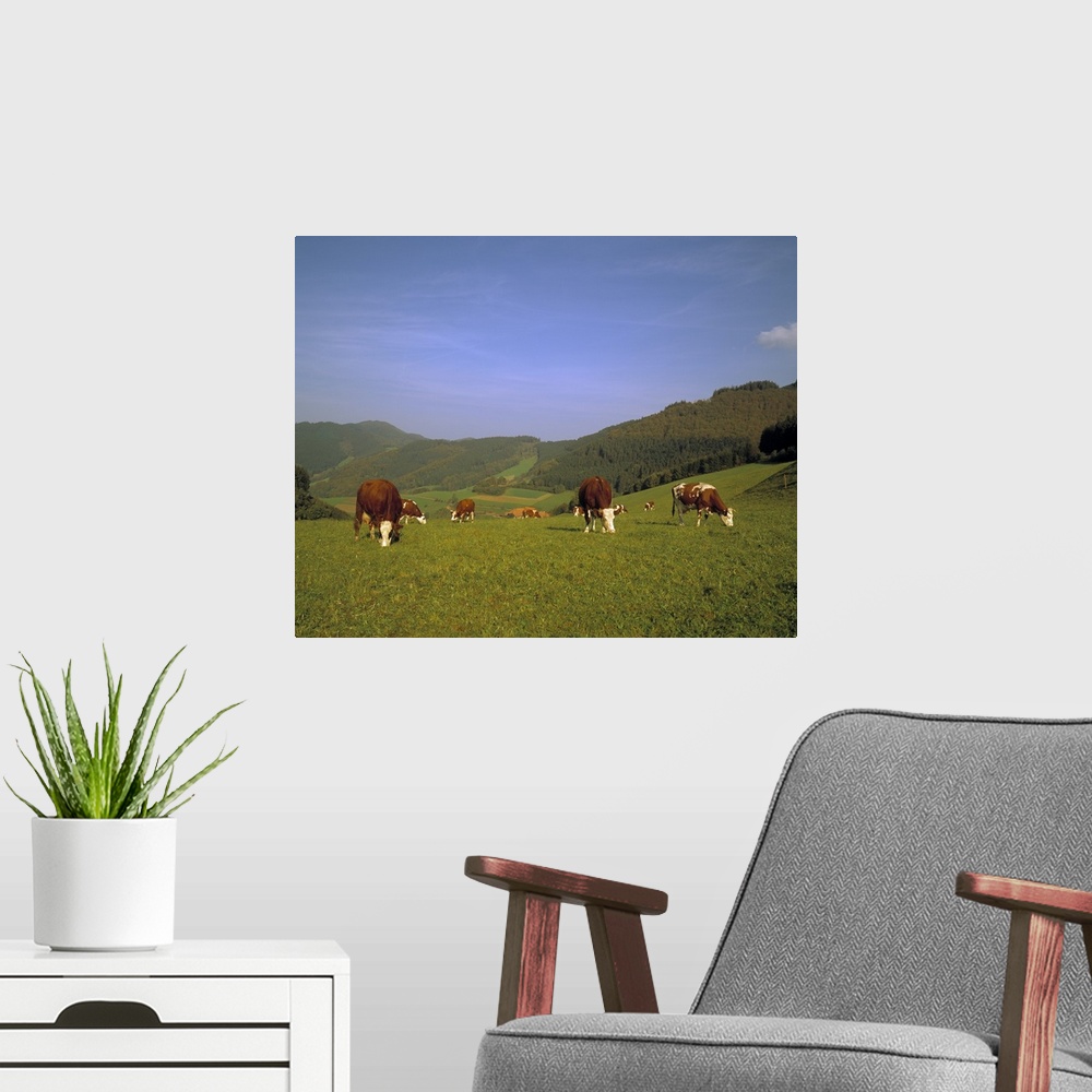 A modern room featuring Cows in the Alps