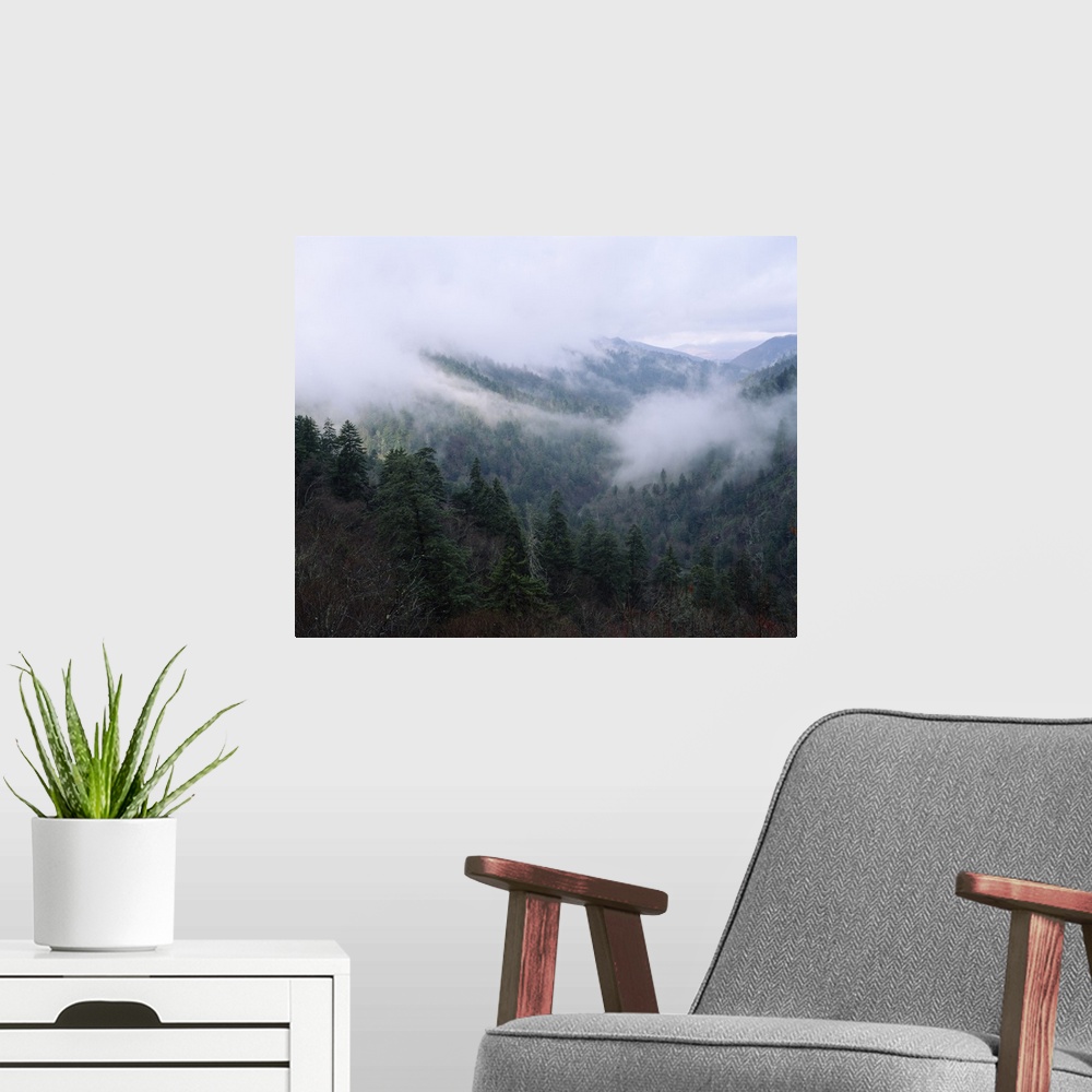 A modern room featuring Fog over a mountain range, Cherokee, Swain County, North Carolina