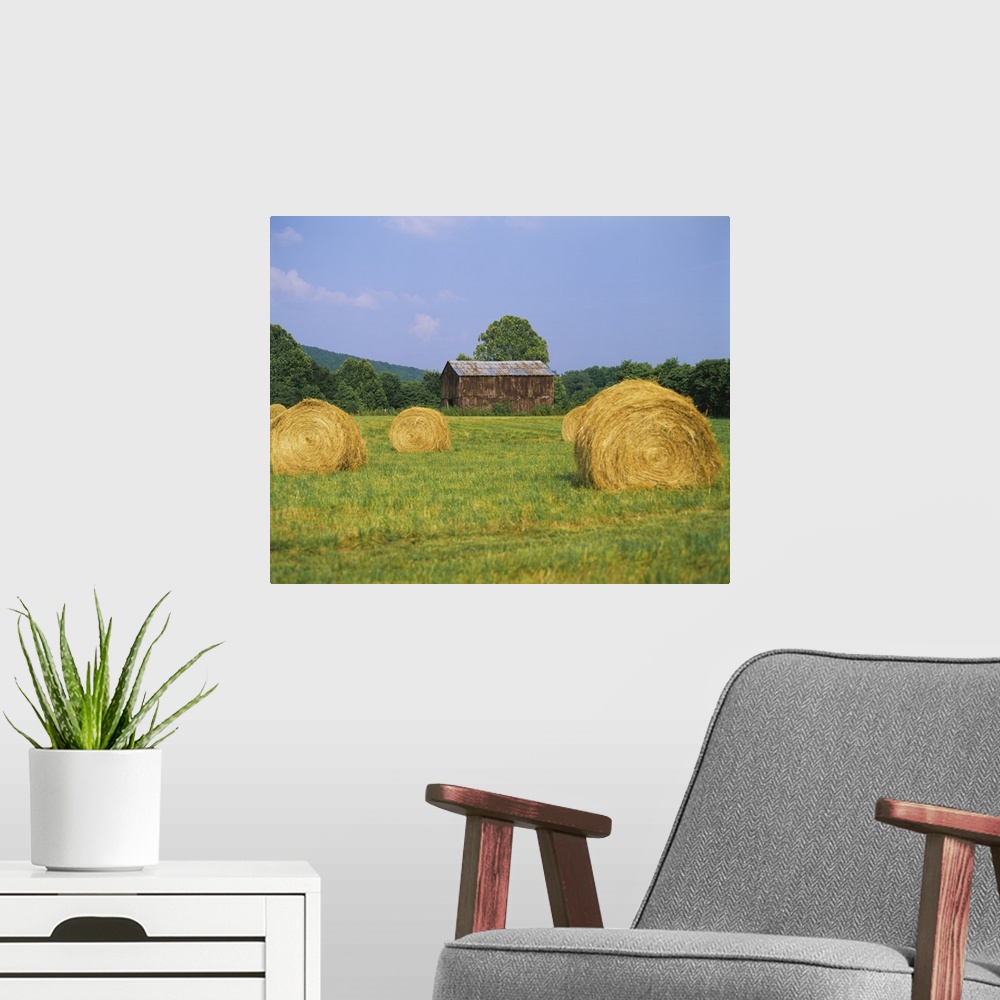 A modern room featuring This is a landscape photograph of a field and an old barn on the edge of the forest.