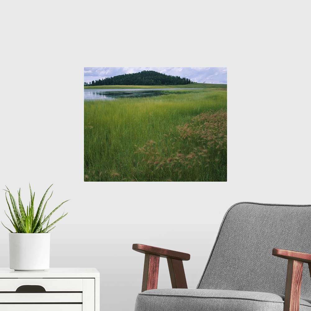 A modern room featuring Lake surrounded by grass, Crescent Lake, White Mountains, Apache-Sitgreaves National Forest, Apac...