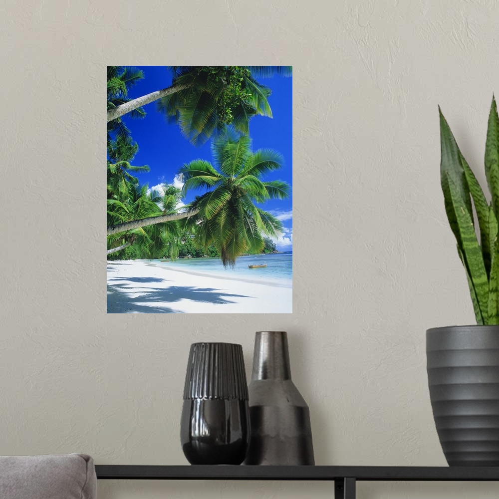 A modern room featuring Photograph of  shoreline covered in palm trees with small boat in the water.