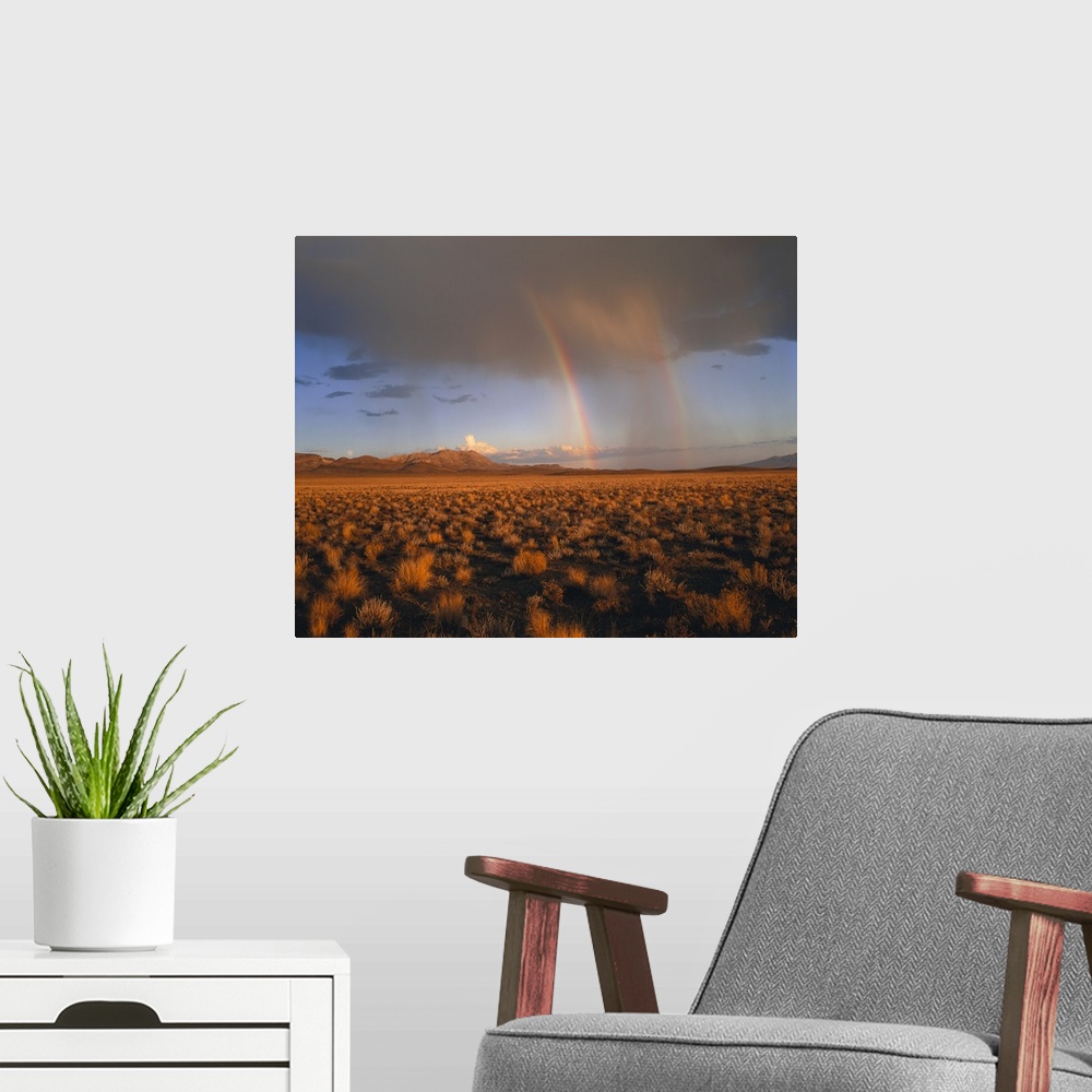 A modern room featuring The open desert is photographed largely with a storm in the background and a double rainbow shown.