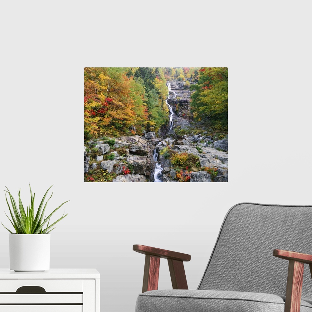 A modern room featuring Photograph of waterfall surrounded by rocky terrain and a fall forest.