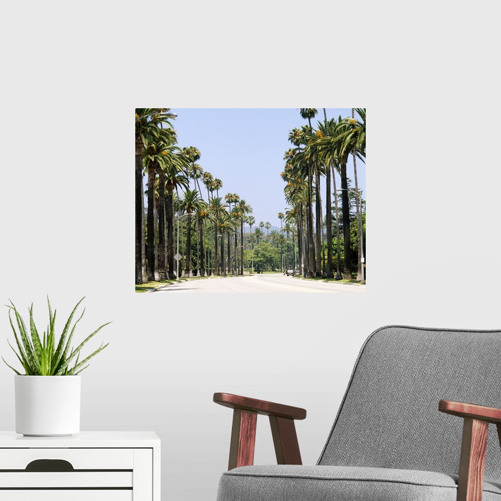 A modern room featuring Palm trees along a road, City of Los Angeles, California