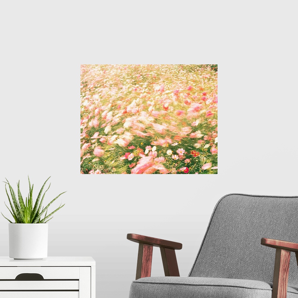A modern room featuring Pink wildflower meadow in breeze