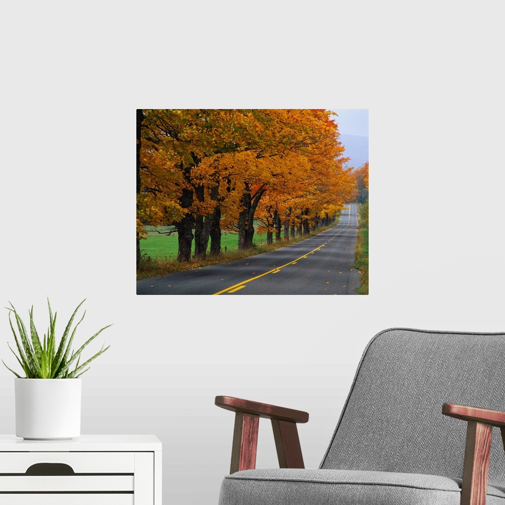 A modern room featuring Rural Road in Autumn