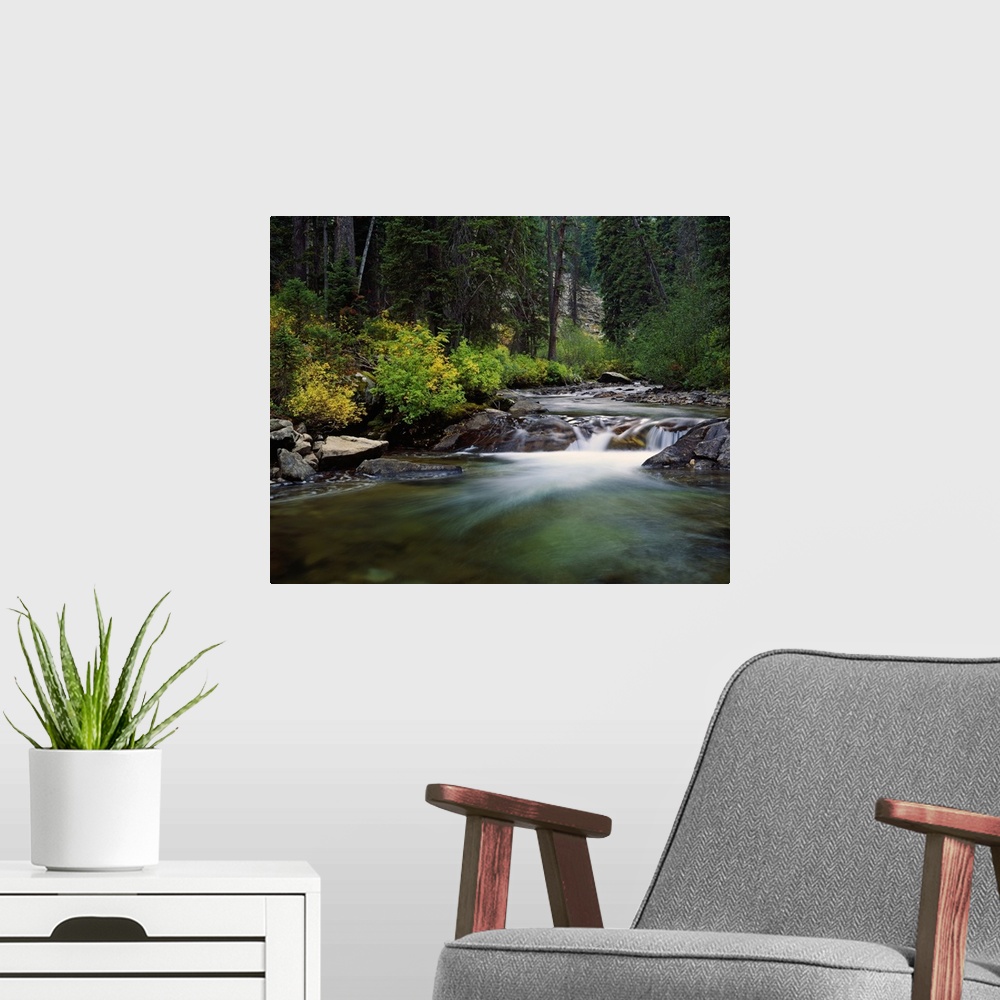 A modern room featuring Rushing water of Cascade Creek, Grand Teton National Park, Wyoming