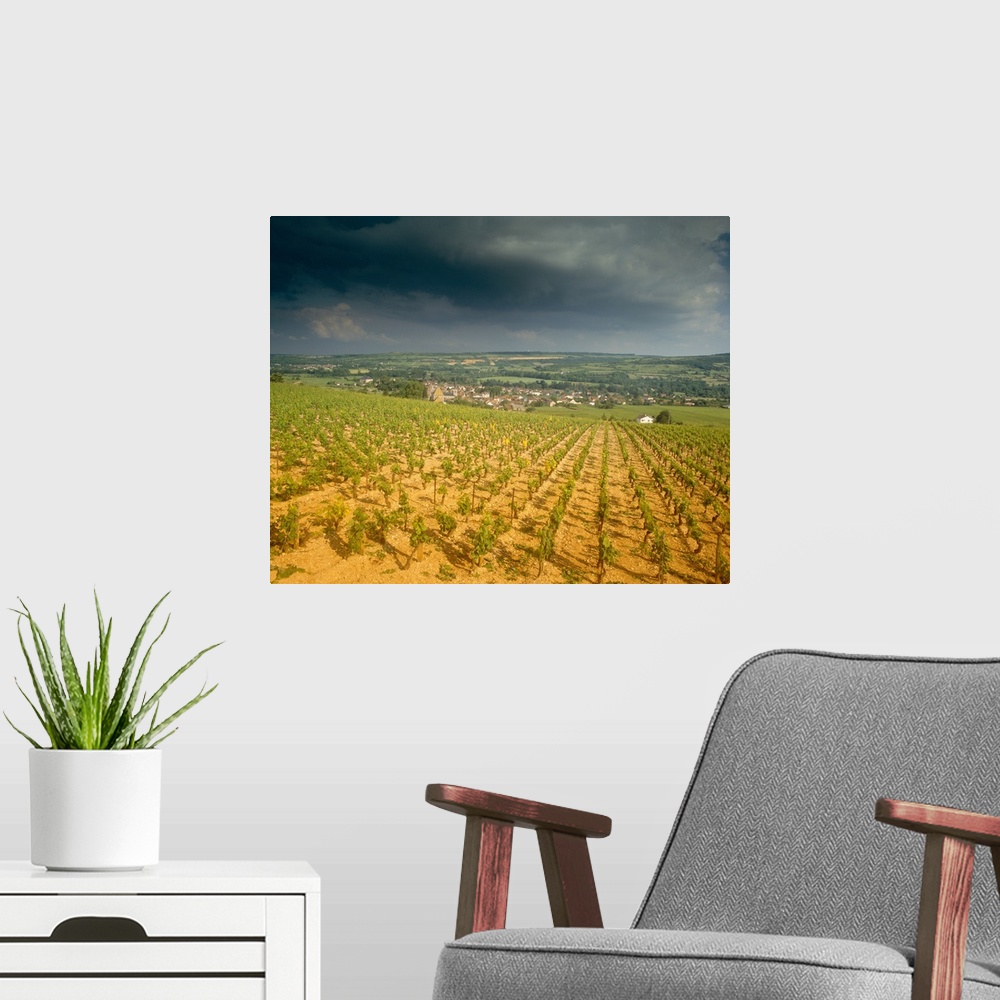 A modern room featuring Storm clouds over vineyards, Chassagne-Montrachet, Cote De Beaune, Burgundy, France