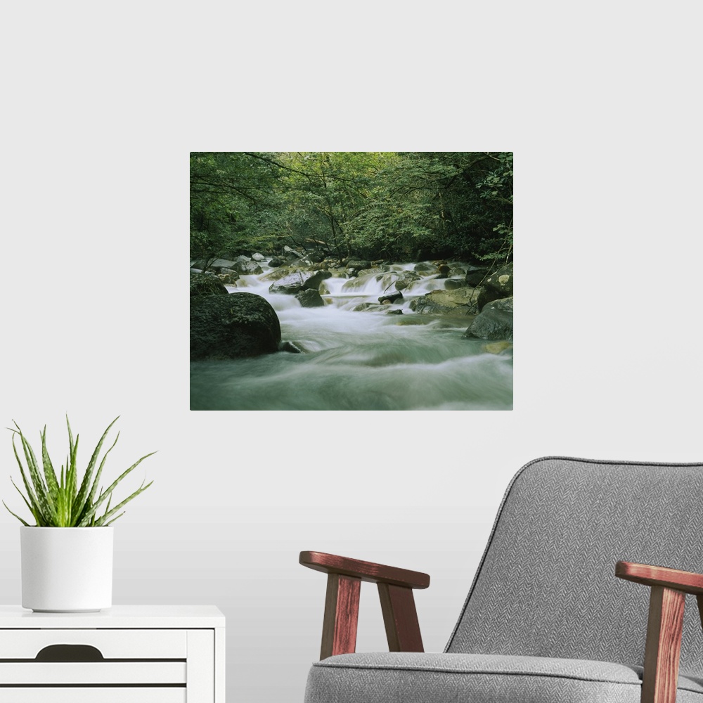 A modern room featuring Canvas wall docor of a quick moving stream rushing through a rocky riverbed in a tropical forest.