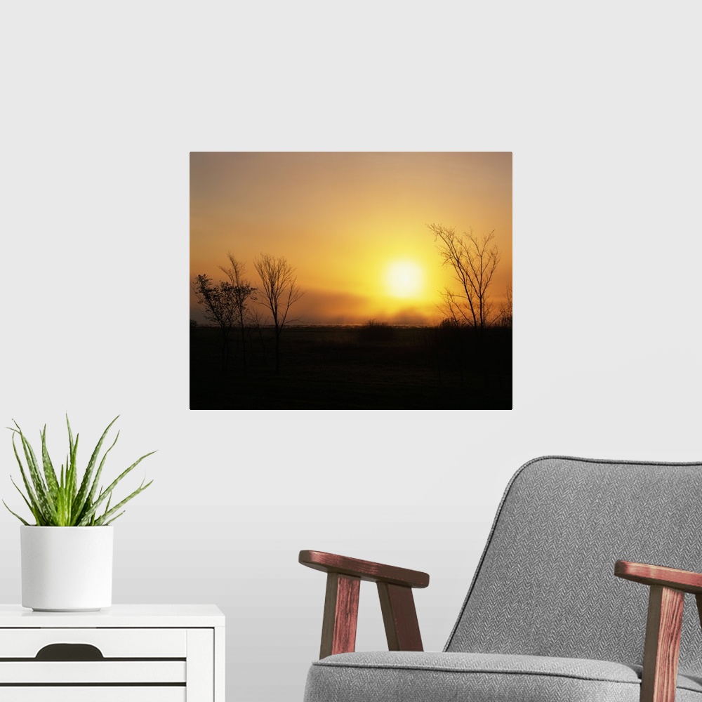 A modern room featuring Sunrise through fog over Cardinal Marsh State Wildlife Area, Iowa