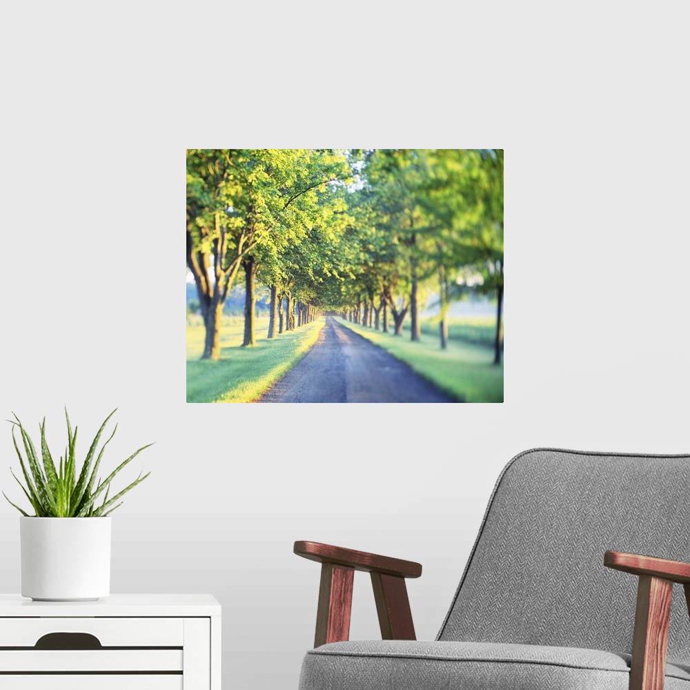 A modern room featuring This is a landscape photograph of a gravel road through farm land with a vignette blur around the...