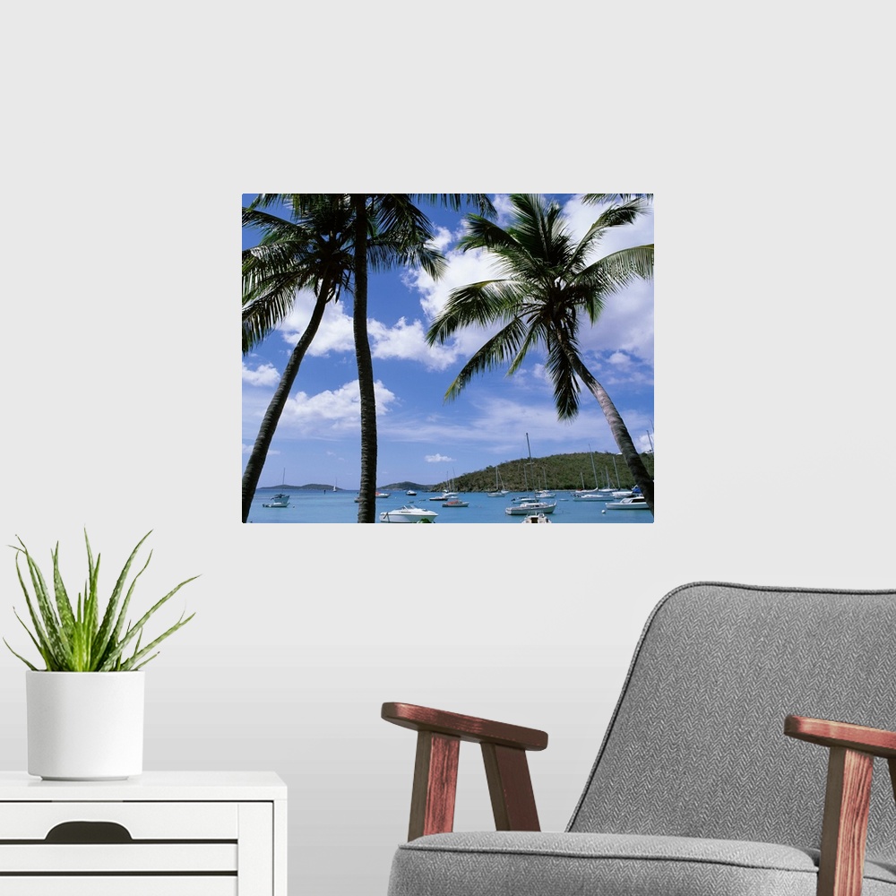 A modern room featuring Tropical themed photo canvas with tall palm trees in front of an ocean full of a mixture of type ...