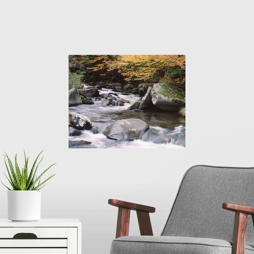 A modern room featuring Vermont, East Barre, Water flowing through rocks
