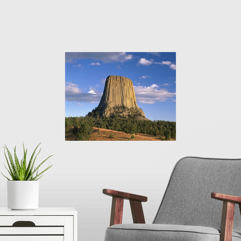 A modern room featuring Wyoming, Devil's Tower National Monument, Panoramic view of the national monument