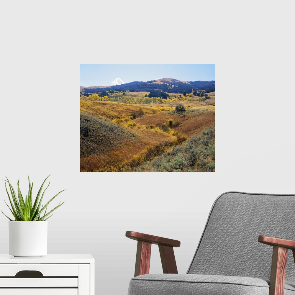 A modern room featuring Wyoming, Yellowstone National Park, Lamar Valley, Panoramic view of a landscape
