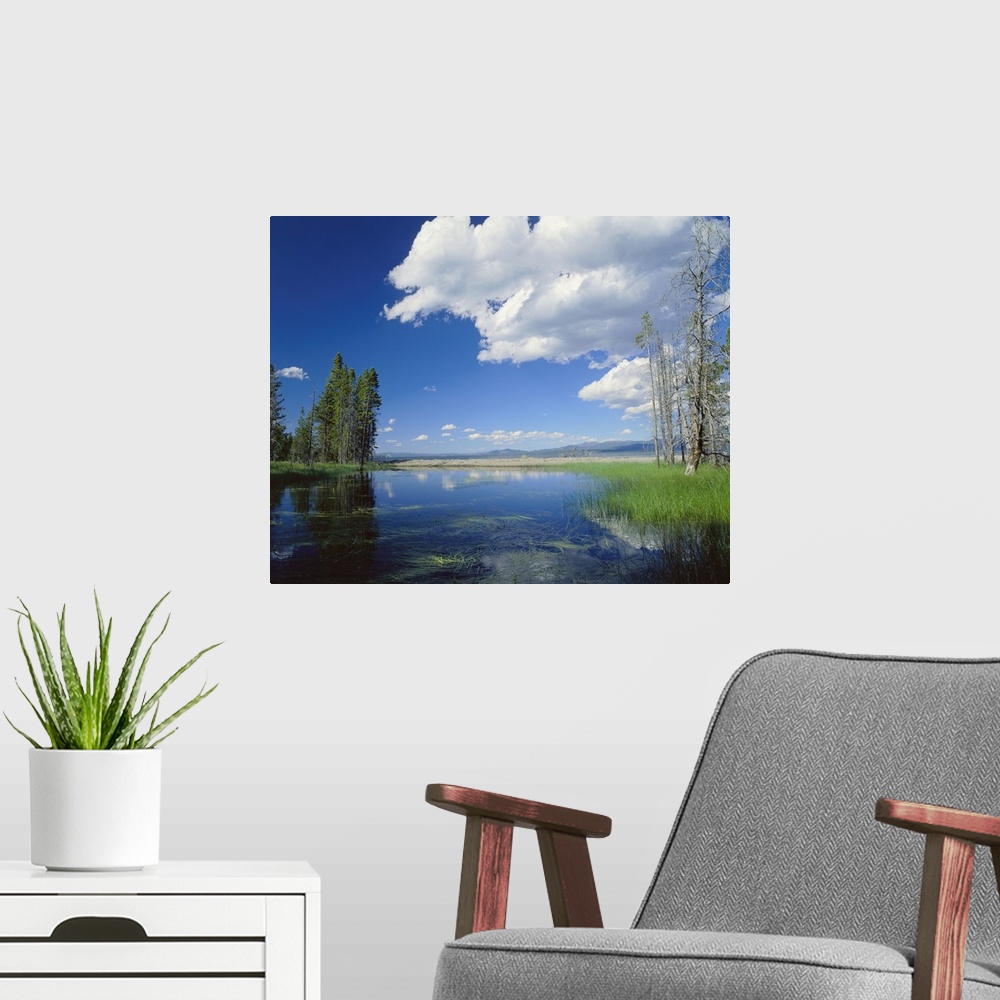 A modern room featuring Large photo on canvas of a lake with clouds and a forest reflected in it.