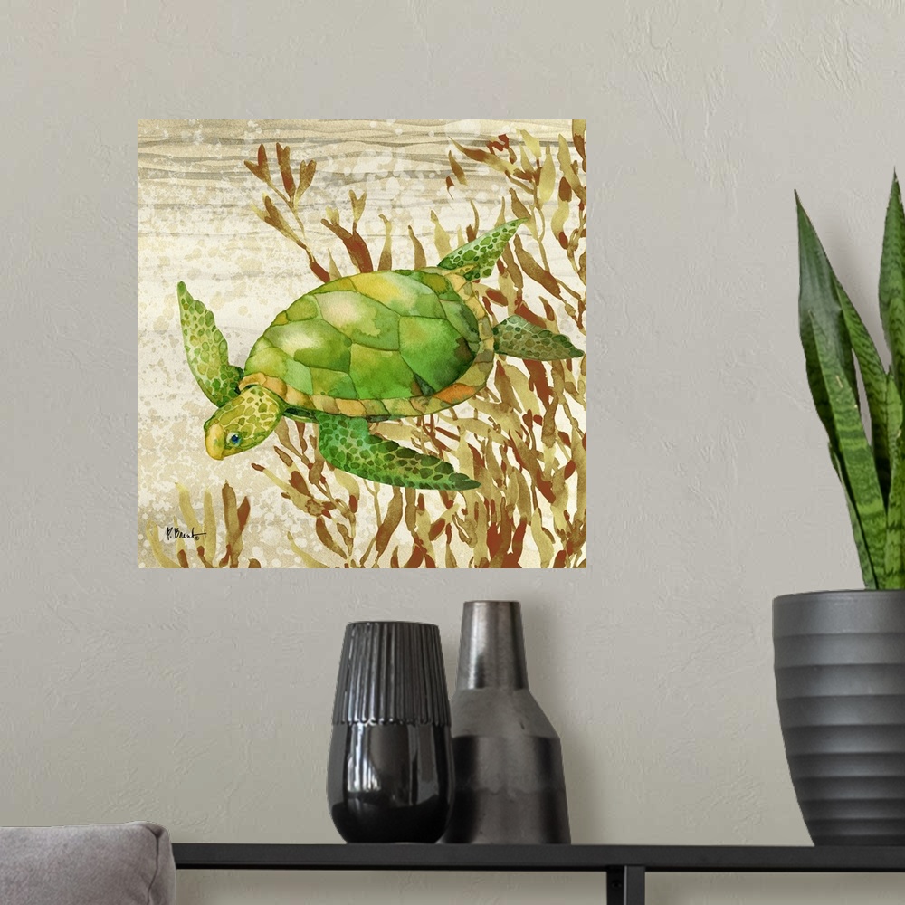 A modern room featuring Calypso Turtles IV