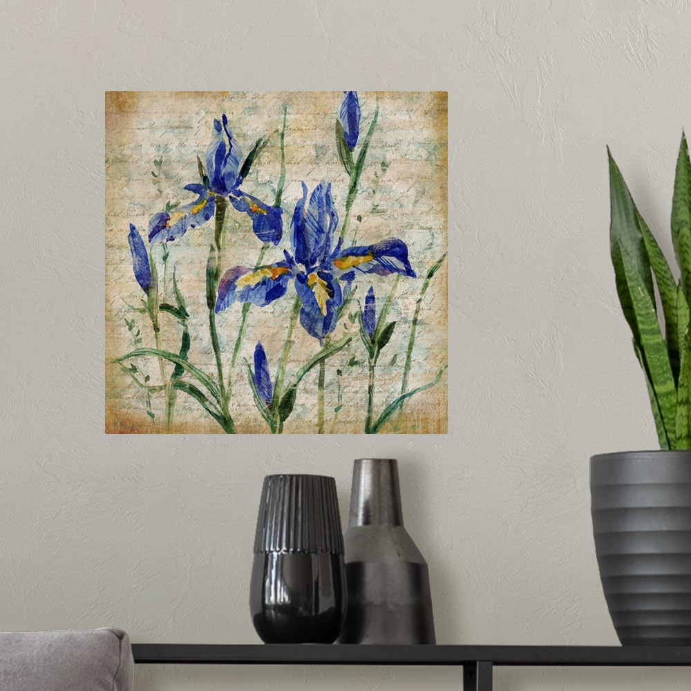 A modern room featuring Painting of a group of iris flowers over antique paper with faded handwriting.