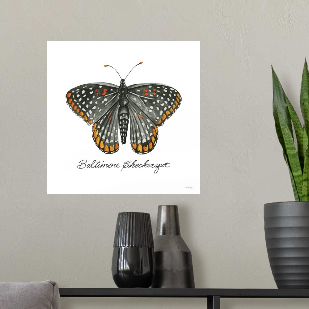 A modern room featuring Baltimore Checkerspot