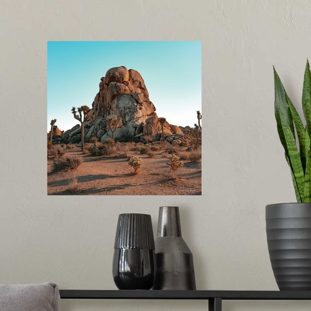 A modern room featuring Mountain In The Desert