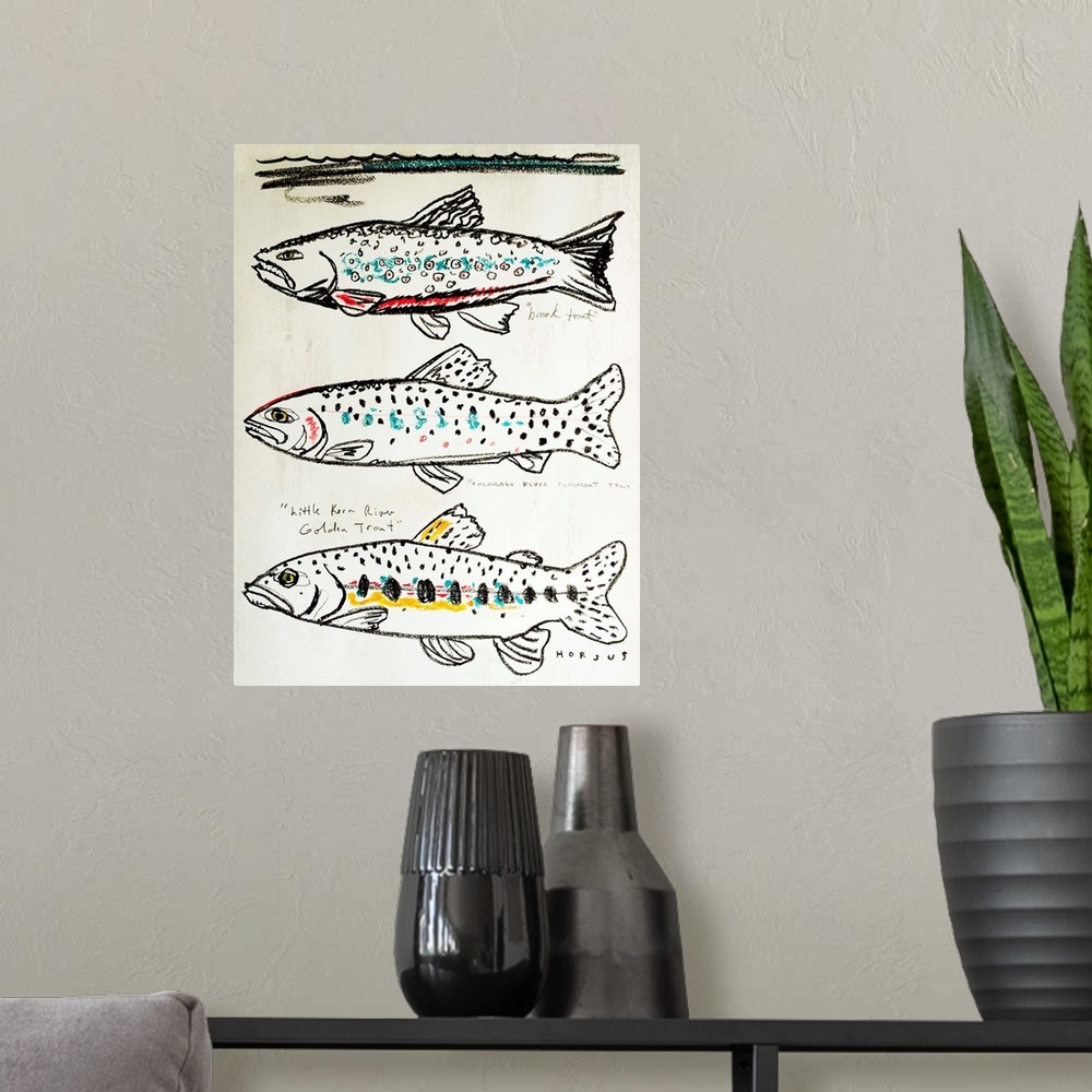A modern room featuring Illustration line drawing of three different kinds of trout fish