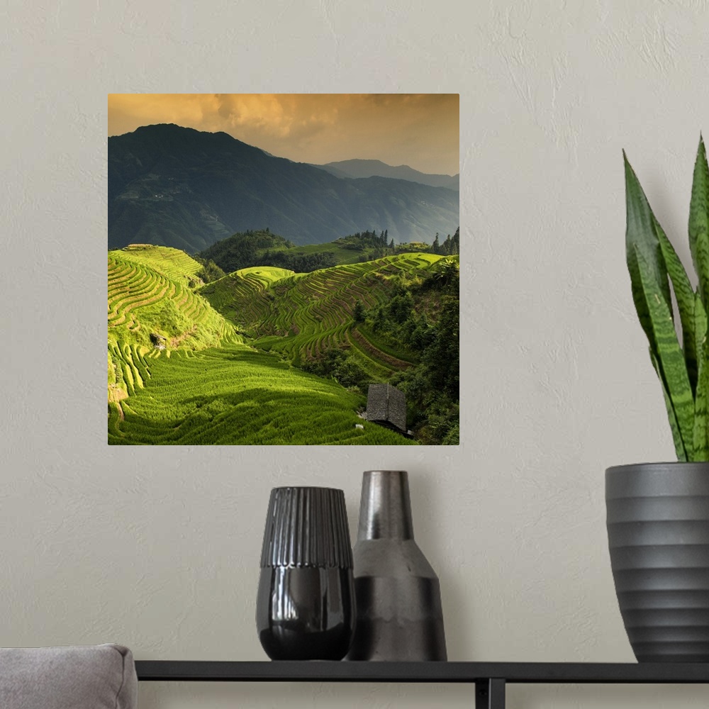 A modern room featuring Rice Terraces, Longsheng Ping'an, Guangxi, China 10MKm2 Collection.