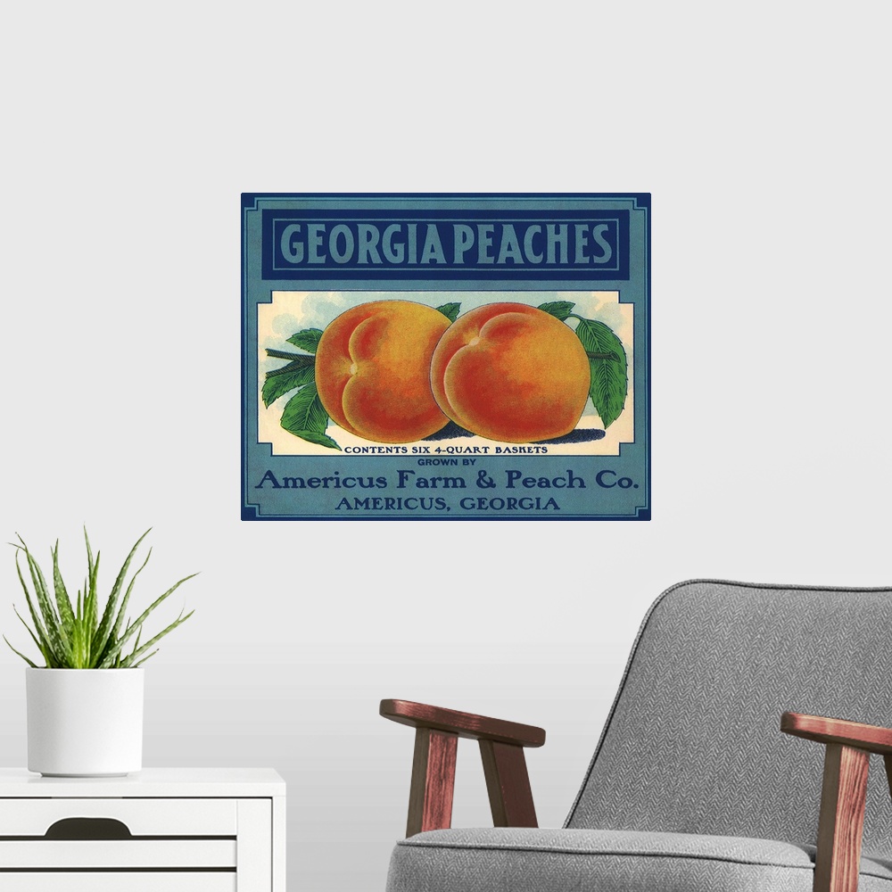 A modern room featuring Georgia Peaches
