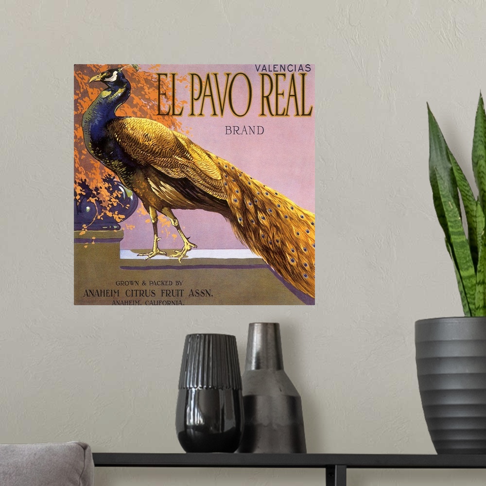 A modern room featuring El Pavo Real