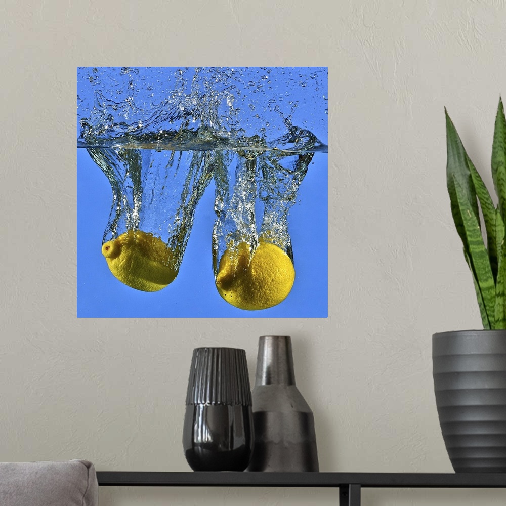 A modern room featuring Lemons Dressed in Blue