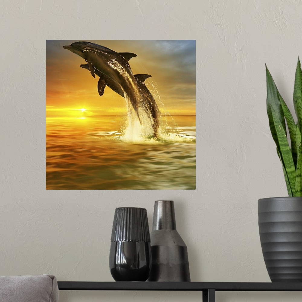 A modern room featuring Two Dolphins leaping out of the water, over the sunset on the horizon.