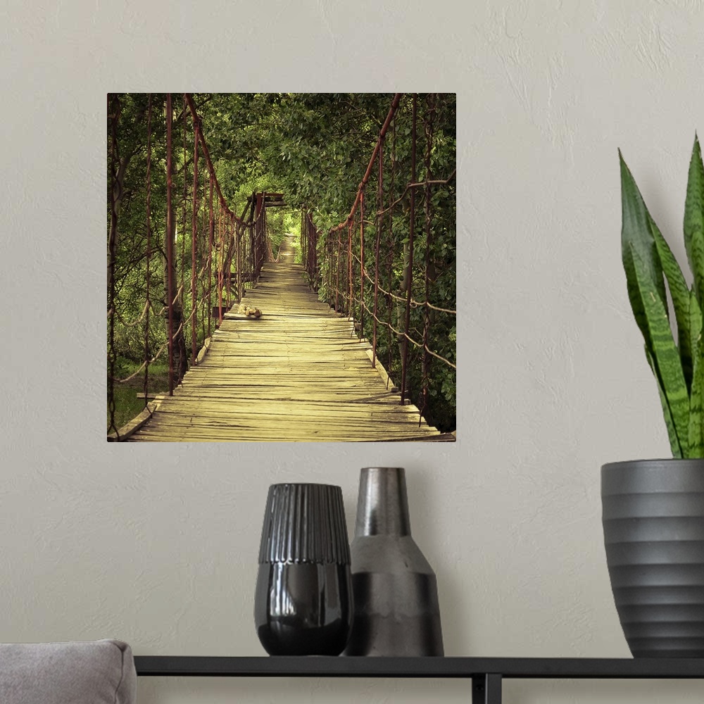 A modern room featuring A wooden footbridge in a verdant forest.