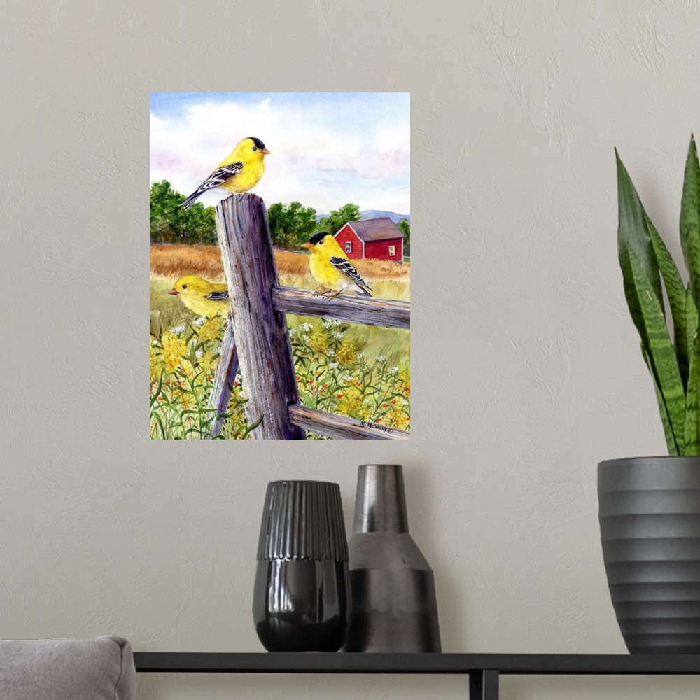 A modern room featuring Goldfinch