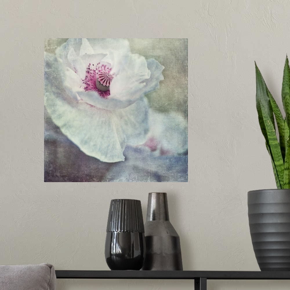 A modern room featuring An artistic photograph of white and pink flower close-up.