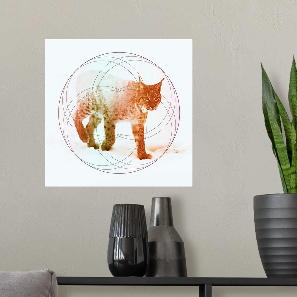 A modern room featuring Double exposure artwork of a lynx and a forest with circular shapes.