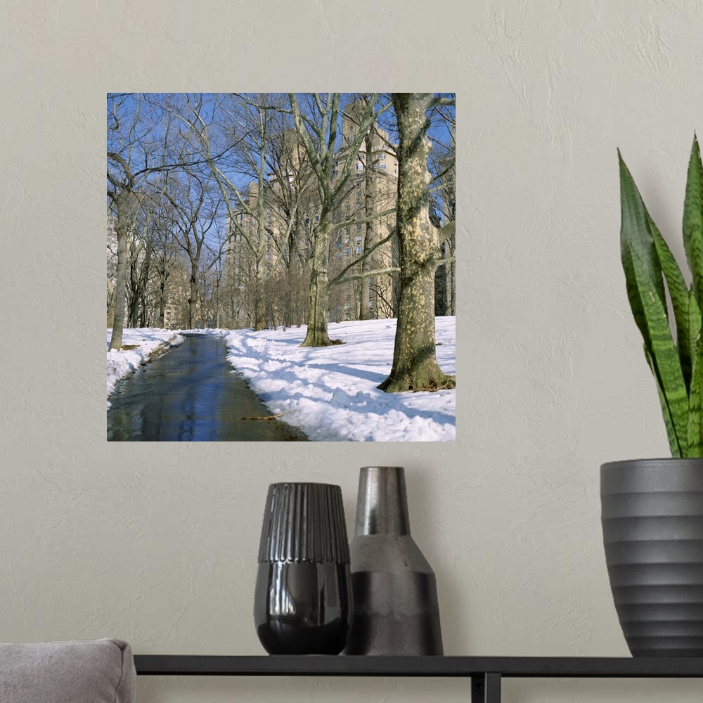 A modern room featuring Bare trees and snow in winter in Central Park, Manhattan, New York City, NY, USA