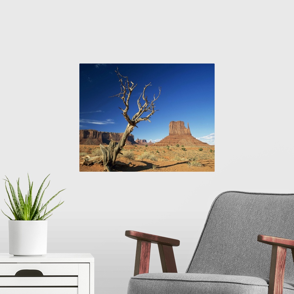 A modern room featuring Dead tree in the desert landscape with rock formations, Monument Valley, Arizona