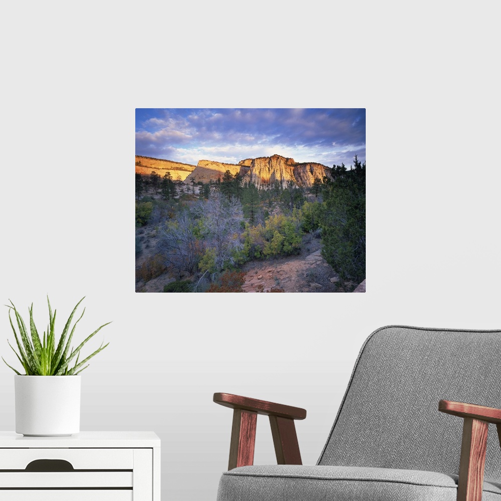 A modern room featuring First light on the hills, Zion National Park, Utah