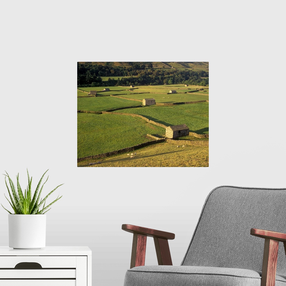 A modern room featuring Walled fields and barns, Yorkshire Dales National Park, Yorkshire, England
