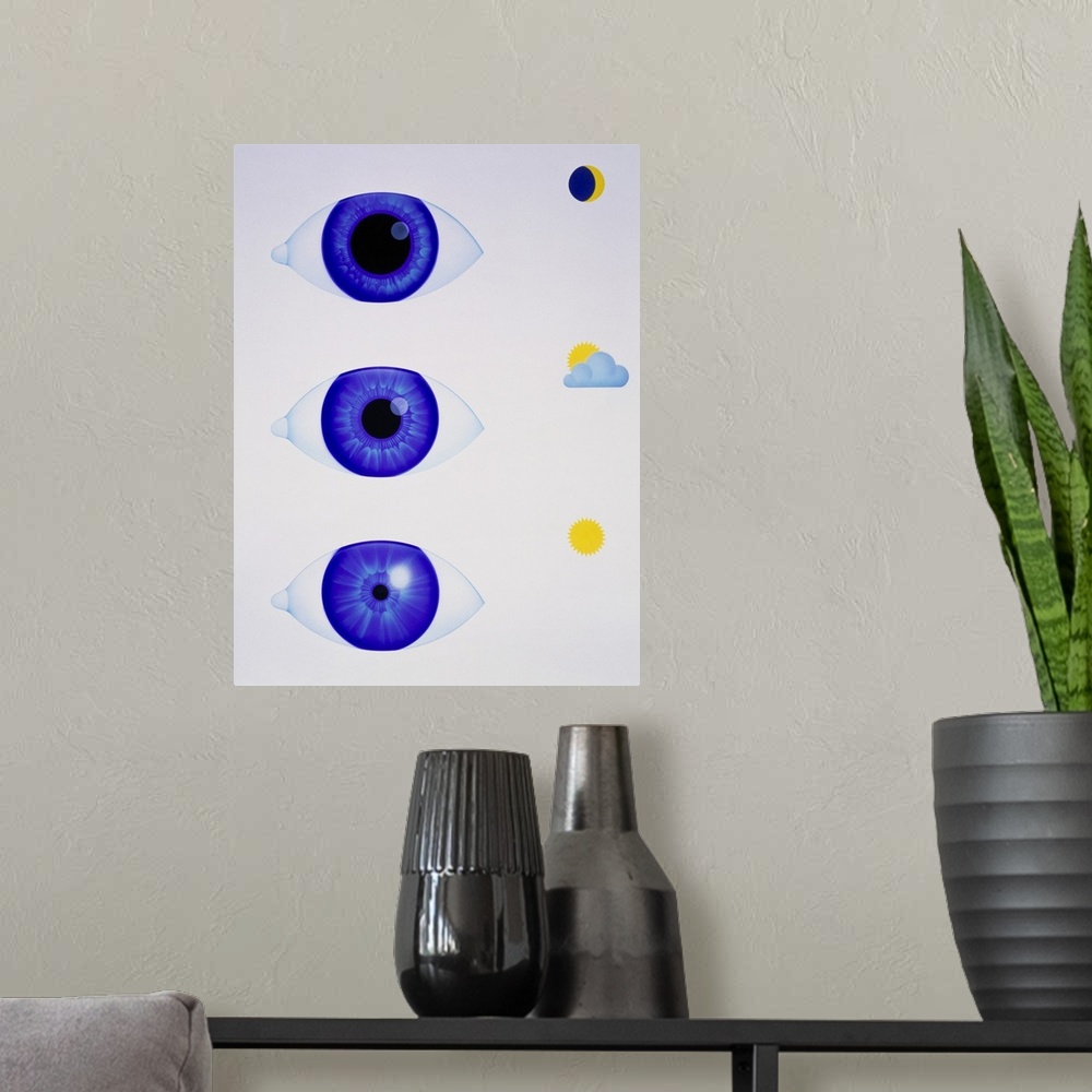 A modern room featuring Pupil of eye. Artwork showing how the pupil of the eye reacts in three different light intensitie...