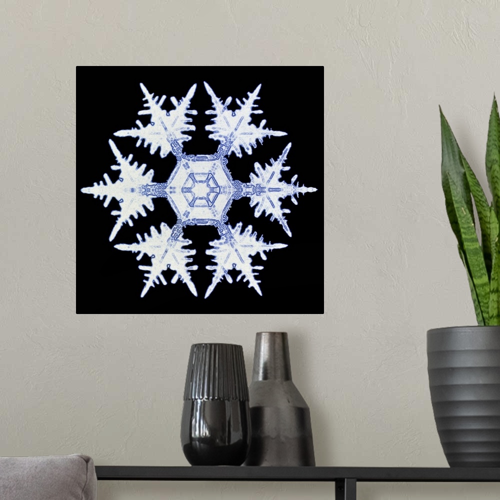 A modern room featuring Snowflake. Computer-enhanced image of a snow crystal. Snowflakes show a typical hexagonal symmetr...