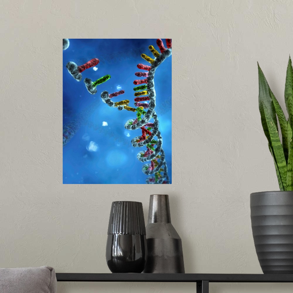 A modern room featuring DNA assembly. Computer artwork showing nucleic acid bases (upper left) binding together to form a...