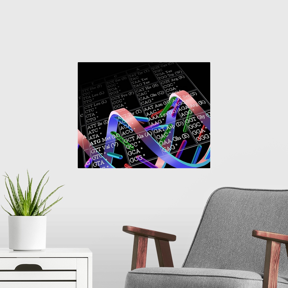 A modern room featuring Genetic code. Conceptual computer artwork of a DNA molecule overlaid with a table showing how a g...