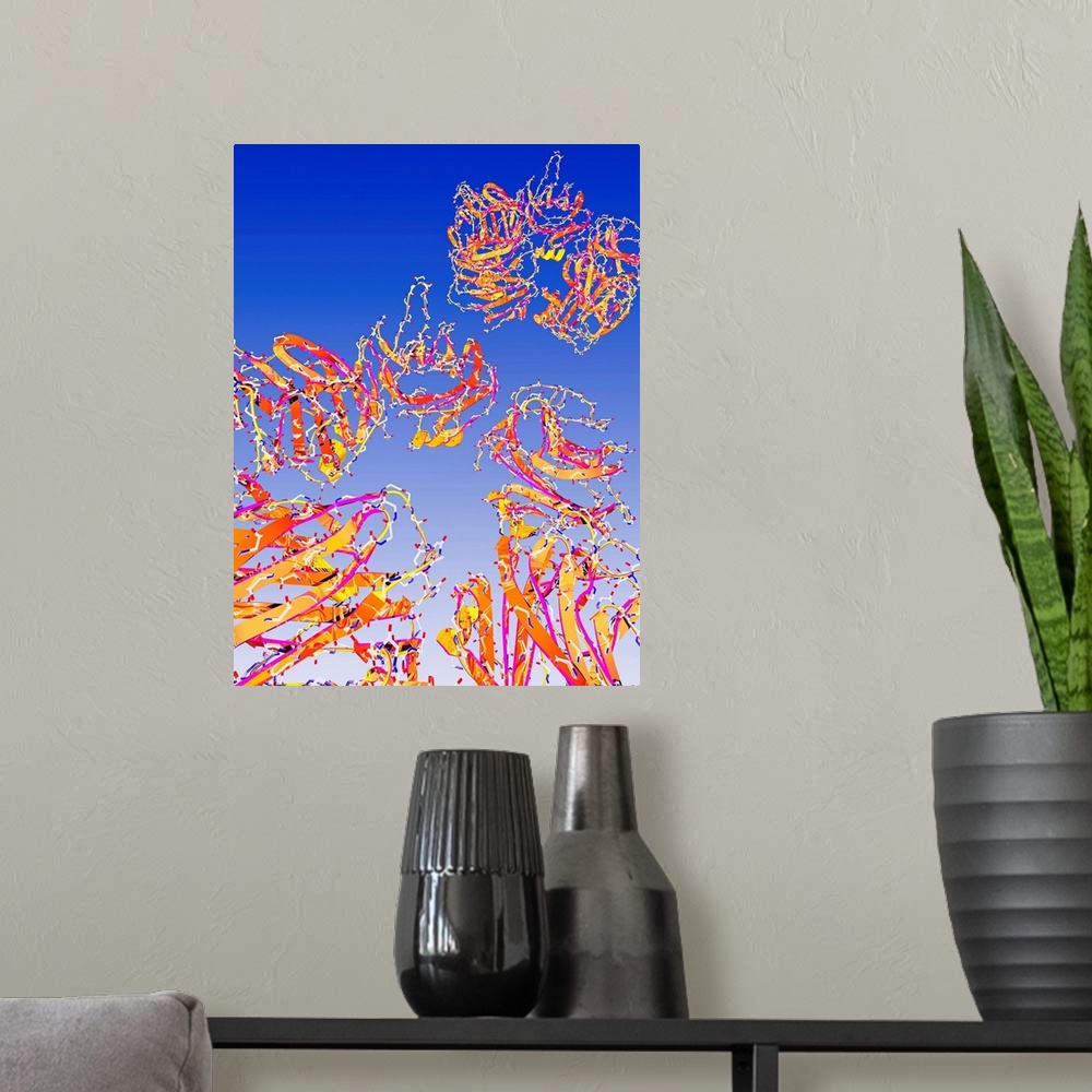 A modern room featuring C-reactive proteins, computer artwork. C-reactive proteins (CRPs) are produced by the liver durin...