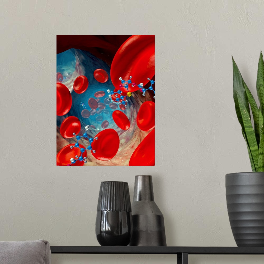 A modern room featuring Red blood cells and drug molecules, computer artwork. Red blood cells (erythrocytes) are responsi...